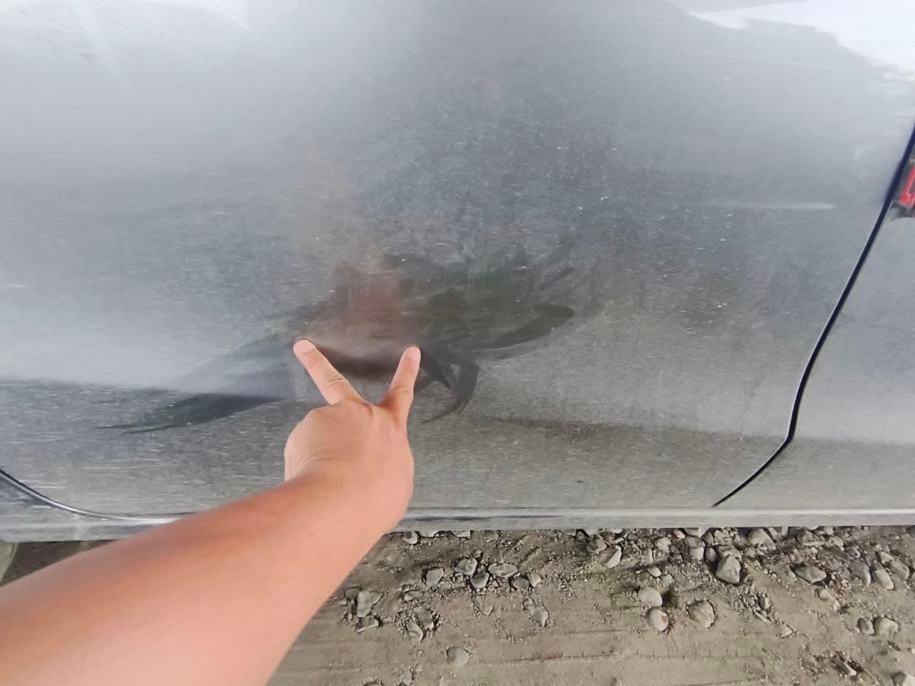 Car gallery image